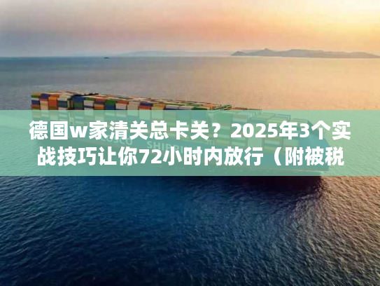 德国w家清关总卡关？2025年3个实战技巧让你72小时内放行（附被税应对方案）