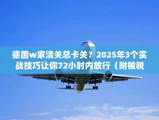 德国w家清关总卡关？2025年3个实战技巧让你72小时内放行（附被税应对方案）