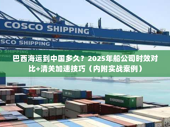 巴西海运到中国多久？2025年船公司时效对比+清关加速技巧（内附实战案例）