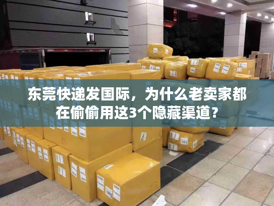 东莞快递发国际,为什么老卖家都在偷偷用这3个隐藏渠道? 东莞快递发国际,为什么老卖家都在偷偷用这3个隐藏渠道?