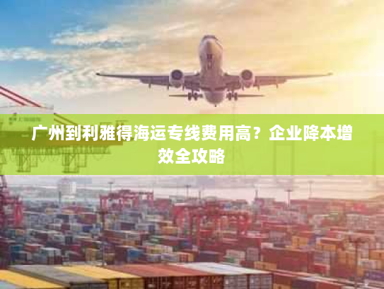 广州到利雅得海运专线费用高？企业降本增效全攻略