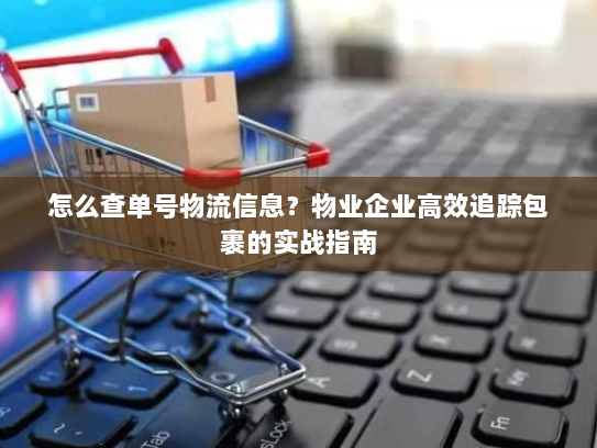怎么查单号物流信息?物业企业高效追踪包裹的实战指南 怎么查单号物流信息?物业企业高效追踪包裹的实战指南