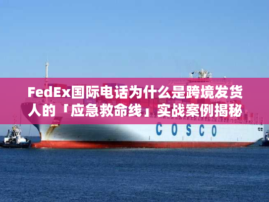 FedEx国际电话为什么是跨境发货人的「应急救命线」实战案例揭秘高效沟通技巧