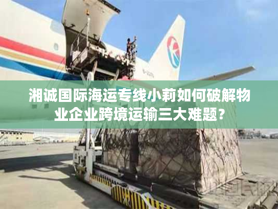 湘诚国际海运专线小莉如何破解物业企业跨境运输三大难题？