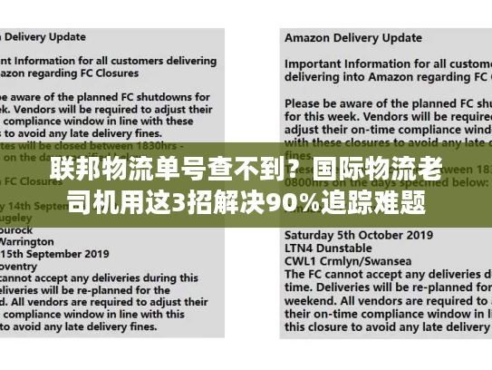 联邦物流单号查不到？国际物流老司机用这3招解决90%追踪难题