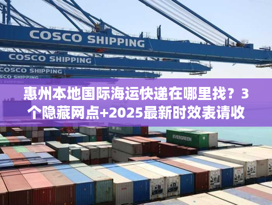惠州本地国际海运快递在哪里找？3个隐藏网点+2025最新时效表请收好