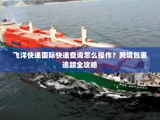 飞洋快递国际快递查询怎么操作？跨境包裹追踪全攻略