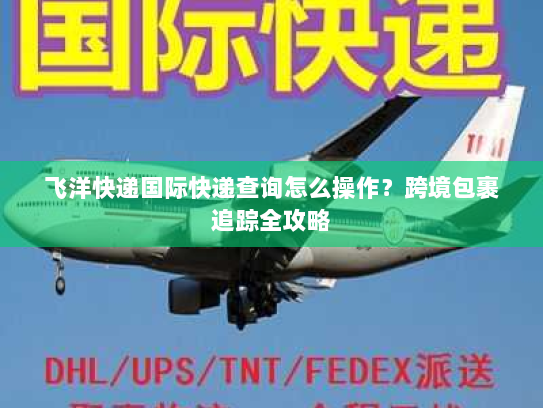 飞洋快递国际快递查询怎么操作？跨境包裹追踪全攻略