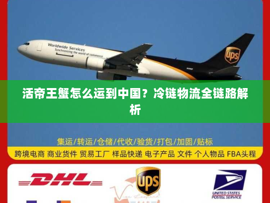 活帝王蟹怎么运到中国？冷链物流全链路解析