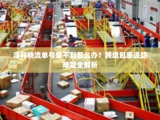 澳邦物流单号查不到怎么办？跨境包裹追踪难题全解析