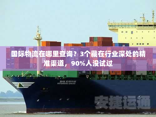 国际物流在哪里查询？3个藏在行业深处的精准渠道，90%人没试过