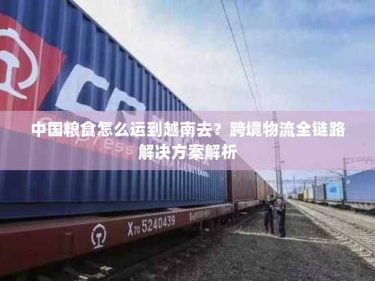 中国粮食怎么运到越南去？跨境物流全链路解决方案解析
