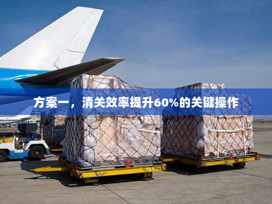 方案一,清关效率提升60%的关键操作 方案一,清关效率提升60%的关键操作