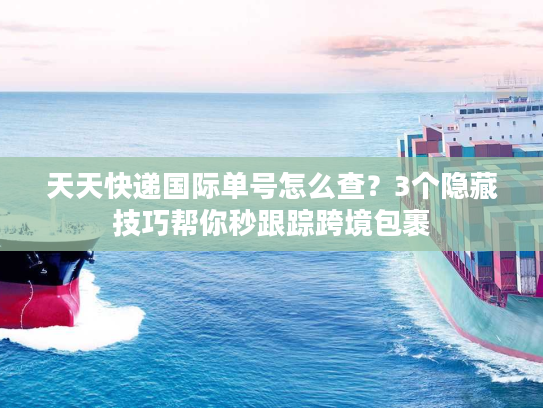 天天快递国际单号怎么查？3个隐藏技巧帮你秒跟踪跨境包裹