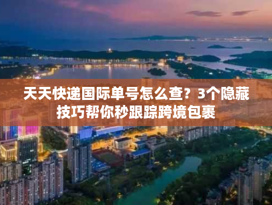 天天快递国际单号怎么查？3个隐藏技巧帮你秒跟踪跨境包裹