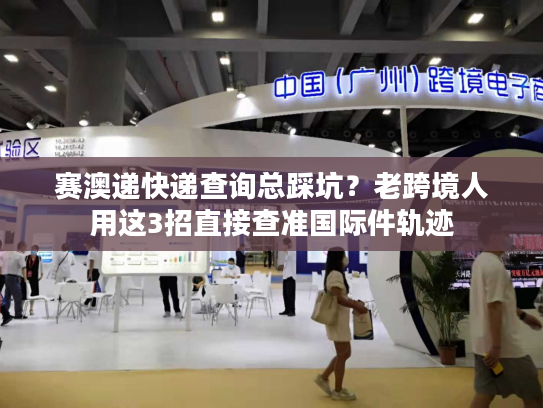 赛澳递快递查询总踩坑？老跨境人用这3招直接查准国际件轨迹