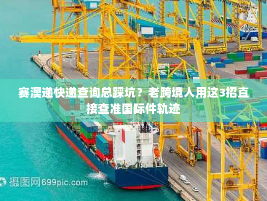 赛澳递快递查询总踩坑？老跨境人用这3招直接查准国际件轨迹