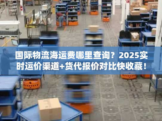 国际物流海运费哪里查询？2025实时运价渠道+货代报价对比快收藏！