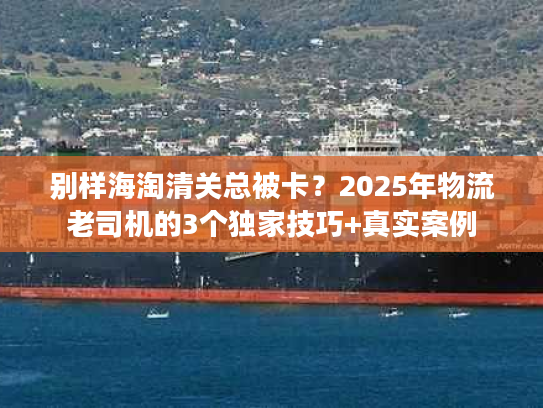 别样海淘清关总被卡?2025年物流老司机的3个独家技巧+真实案例 别样海淘清关总被卡?2025年物流老司机的3个独家技巧+真实案例