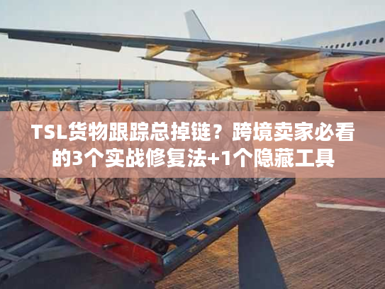 TSL货物跟踪总掉链？跨境卖家必看的3个实战修复法+1个隐藏工具