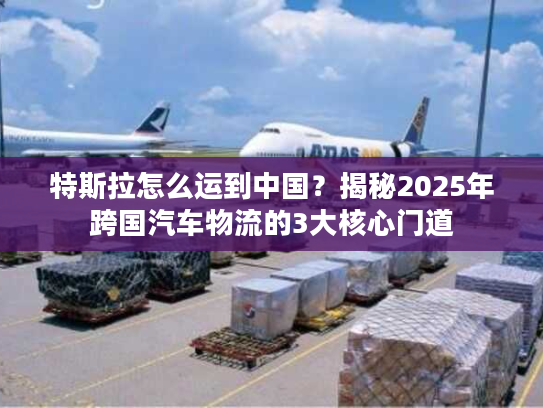 特斯拉怎么运到中国？揭秘2025年跨国汽车物流的3大核心门道