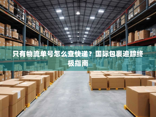 只有物流单号怎么查快递？国际包裹追踪终极指南