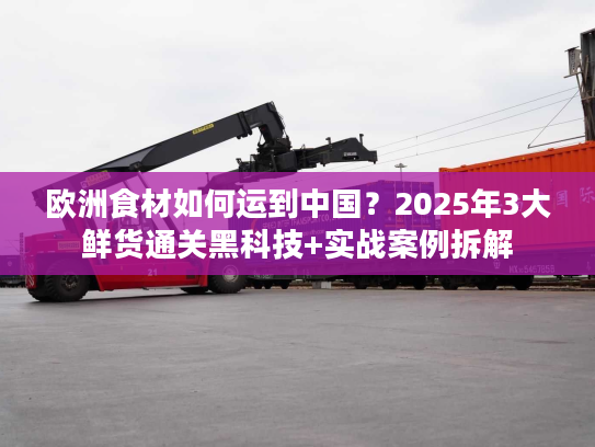 欧洲食材如何运到中国？2025年3大鲜货通关黑科技+实战案例拆解