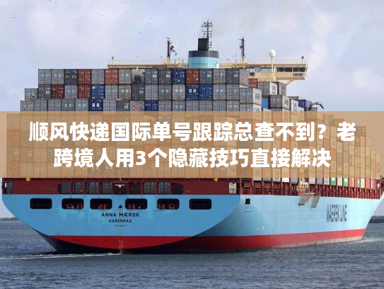 顺风快递国际单号跟踪总查不到?老跨境人用3个隐藏技巧直接解决 顺风快递国际单号跟踪总查不到?老跨境人用3个隐藏技巧直接解决