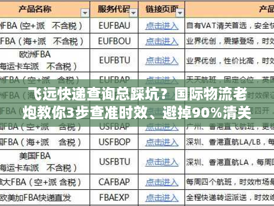 飞远快递查询总踩坑？国际物流老炮教你3步查准时效、避掉90%清关雷