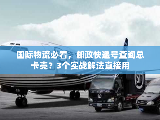 国际物流必看，邮政快递号查询总卡壳？3个实战解法直接用