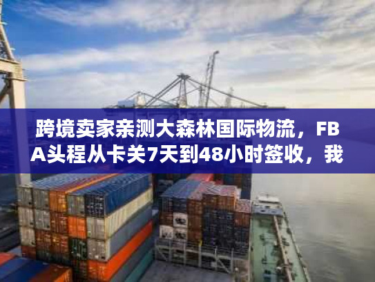 跨境卖家亲测大森林国际物流，FBA头程从卡关7天到48小时签收，我做对了这3件事