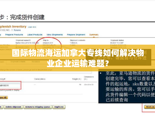国际物流海运加拿大专线如何解决物业企业运输难题？