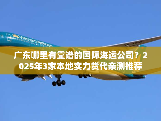 广东哪里有靠谱的国际海运公司？2025年3家本地实力货代亲测推荐