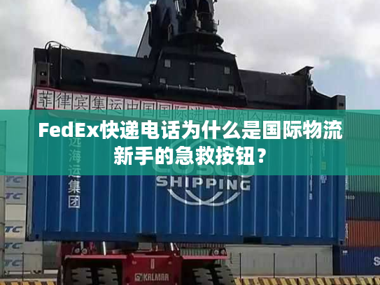 FedEx快递电话为什么是国际物流新手的急救按钮? FedEx快递电话为什么是国际物流新手的急救按钮?