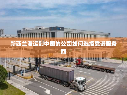 新西兰海运到中国的公司如何选择靠谱服务商