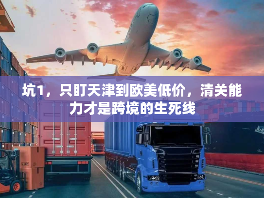 坑1,只盯天津到欧美低价,清关能力才是跨境的生死线 坑1,只盯天津到欧美低价,清关能力才是跨境的生死线