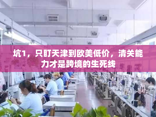 坑1,只盯天津到欧美低价,清关能力才是跨境的生死线 坑1,只盯天津到欧美低价,清关能力才是跨境的生死线