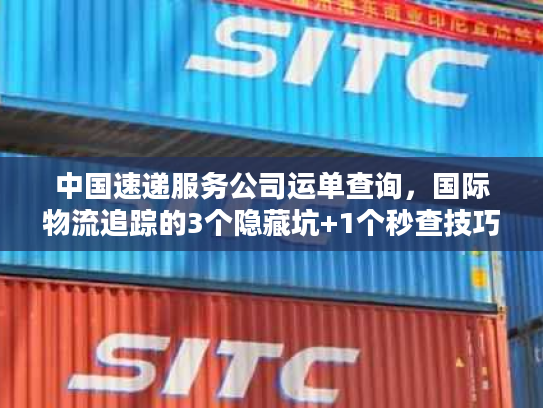 中国速递服务公司运单查询，国际物流追踪的3个隐藏坑+1个秒查技巧