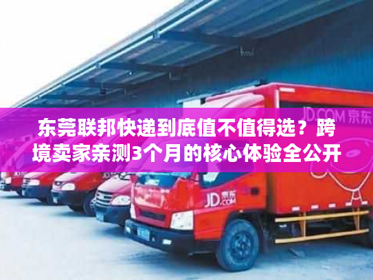 东莞联邦快递到底值不值得选？跨境卖家亲测3个月的核心体验全公开