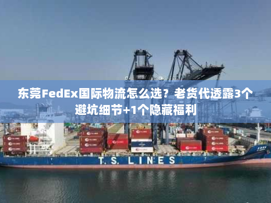 东莞FedEx国际物流怎么选？老货代透露3个避坑细节+1个隐藏福利