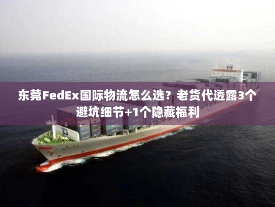 东莞FedEx国际物流怎么选？老货代透露3个避坑细节+1个隐藏福利