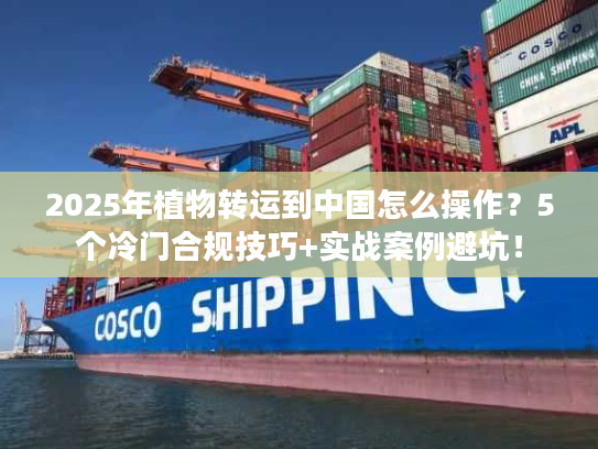 2025年植物转运到中国怎么操作？5个冷门合规技巧+实战案例避坑！