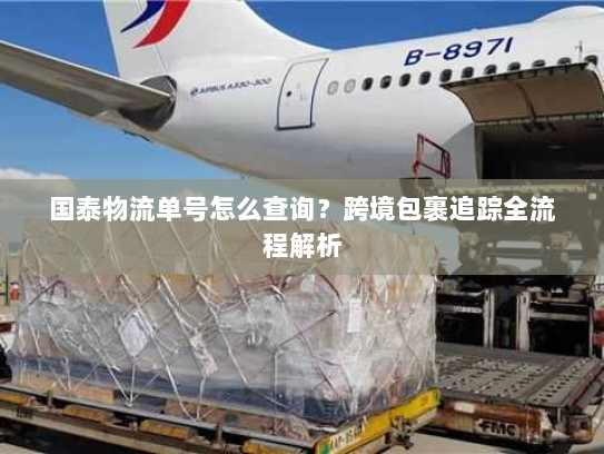 国泰物流单号怎么查询?跨境包裹追踪全流程解析 国泰物流单号怎么查询?跨境包裹追踪全流程解析