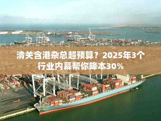 清关含港杂总超预算?2025年3个行业内幕帮你降本30% 清关含港杂总超预算?2025年3个行业内幕帮你降本30%