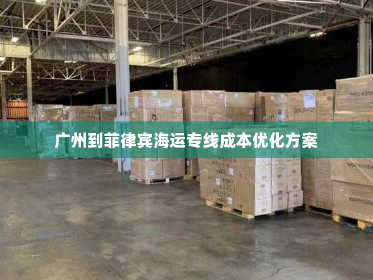 广州到菲律宾海运专线成本优化方案 广州到菲律宾海运专线成本优化方案