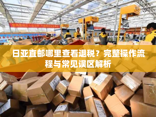 日亚直邮哪里查看退税？完整操作流程与常见误区解析