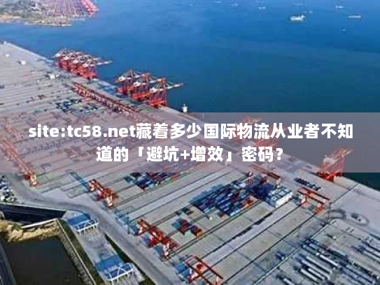 site:tc58.net藏着多少国际物流从业者不知道的「避坑+增效」密码? site:tc58.net藏着多少国际物流从业者不知道的「避坑+增效」密码?