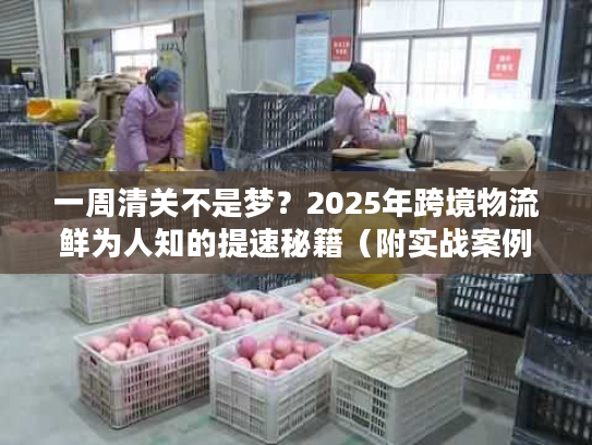 一周清关不是梦？2025年跨境物流鲜为人知的提速秘籍（附实战案例）