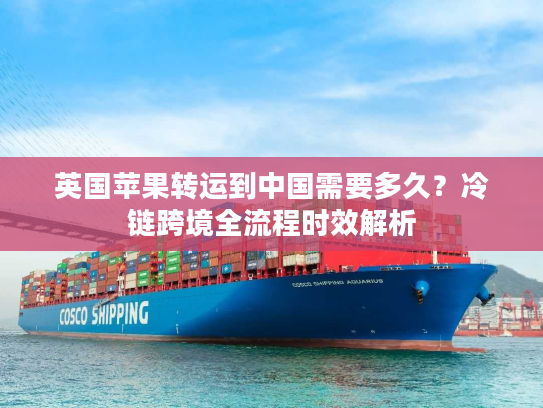 英国苹果转运到中国需要多久？冷链跨境全流程时效解析