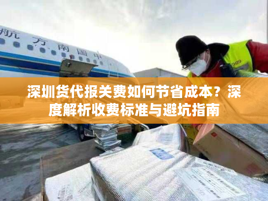 深圳货代报关费如何节省成本？深度解析收费标准与避坑指南
